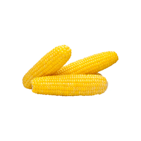 Sweet Corn